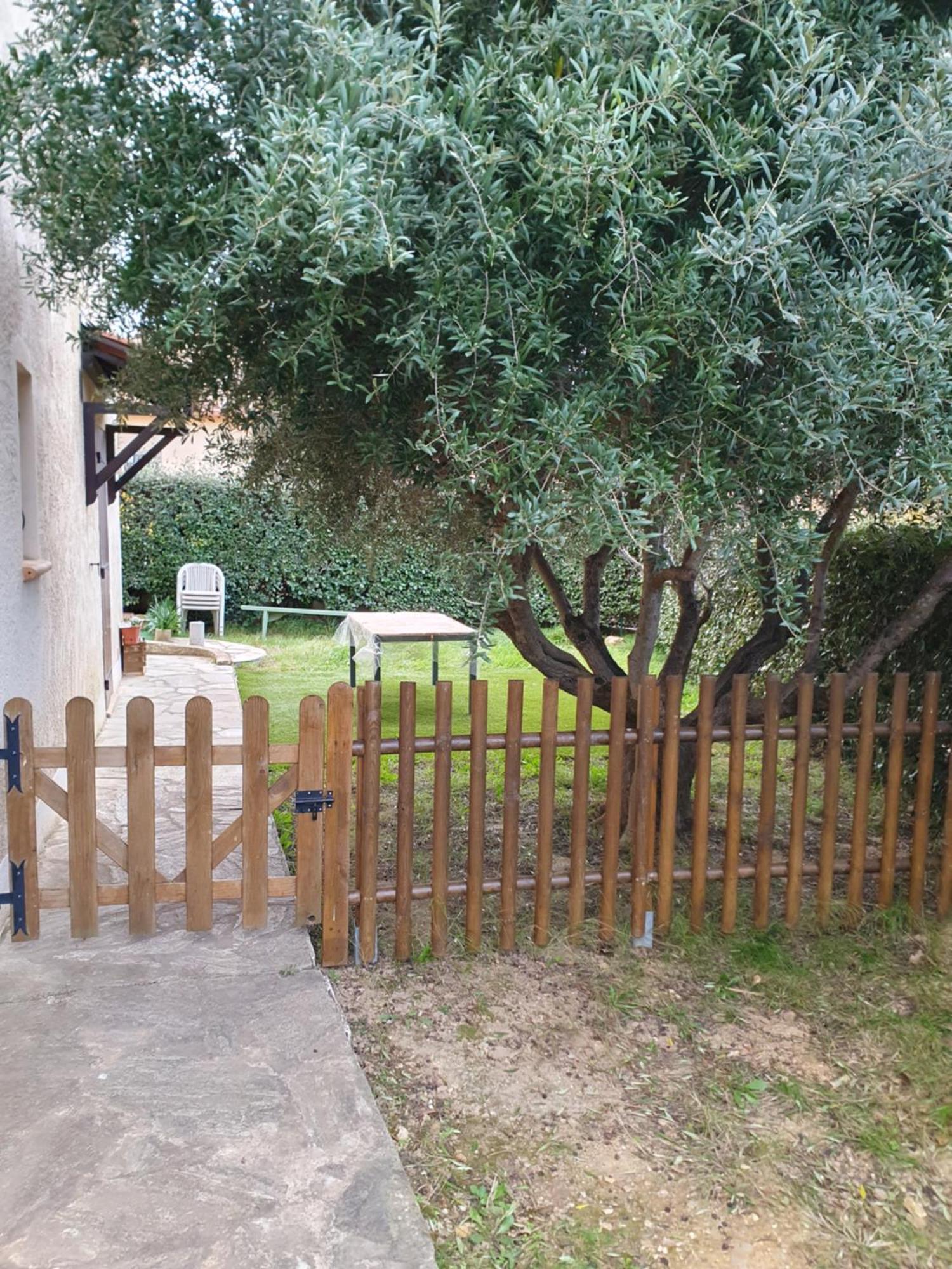 Appartement T2 Bas De Villa Avec Jardinet Au Calme Proche Mer La Seyne-sur-Mer Dış mekan fotoğraf